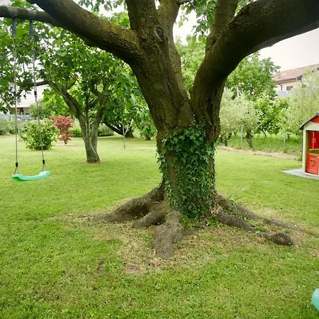 The Secret Garden Bed & Breakfast *