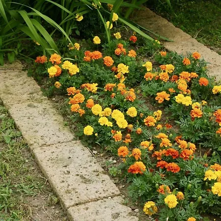 The Secret Garden Panzió